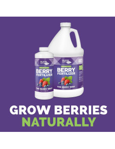 Fertilizante Orgánico para Bayas Bloom City 0.95 L 2