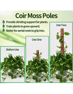 Postes de Musgo para Plantas Eibikdi - 8 Piezas 43.18cm 2
