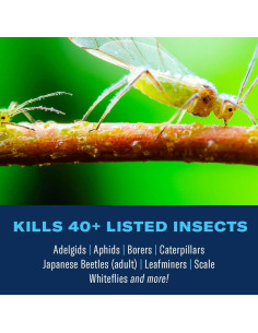 Insecticida BioAdvanced 12 Meses para Árboles y Arbustos 1.81 kg 2