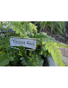 Marcador de Planta de Zinc Bosmere 20 Piezas 12.7 cm 2