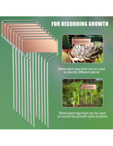 Etiquetas de Jardín Geilihome de Cobre - 30PCS Reutilizables