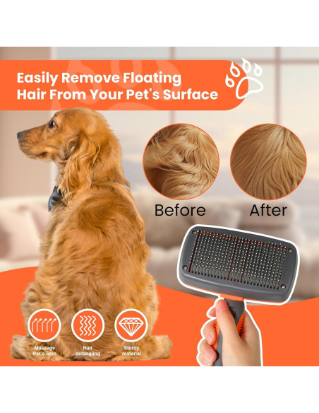 Cepillo Autolimpiante LION TAMER para Perros y Gatos Grande