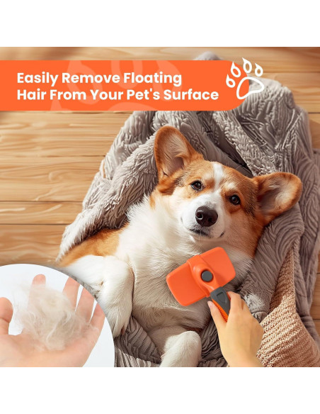 Cepillo Autolimpiante LION TAMER para Perros y Gatos Grande