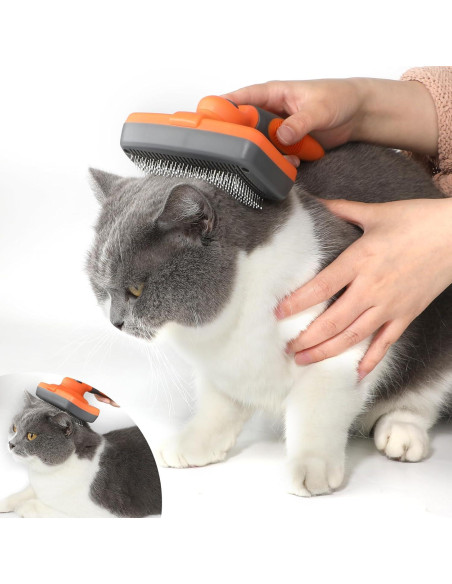 Cepillo Autolimpiante LION TAMER para Perros y Gatos Grande