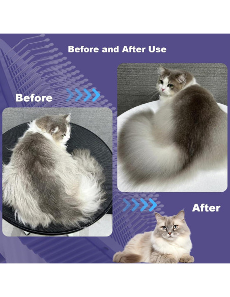 Cepillo para Gatos Garstor Azul Oscuro - Pelo Largo y Corto Cepillo para Gatos Garstor Azul Oscuro - Pelo Largo y Corto