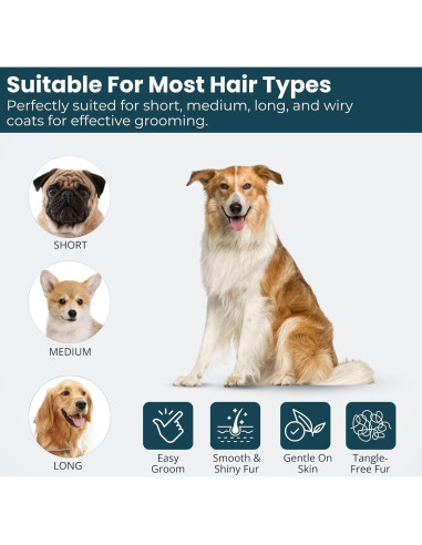 Cepillo Autolimpiante Richpet para Perros y Gatos - Grande