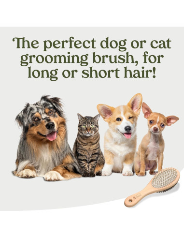 Cepillo 2-en-1 Pawfume para Gatos y Perros - Mango de Madera