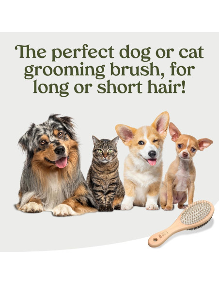 Cepillo 2-en-1 Pawfume para Gatos y Perros - Mango de Madera