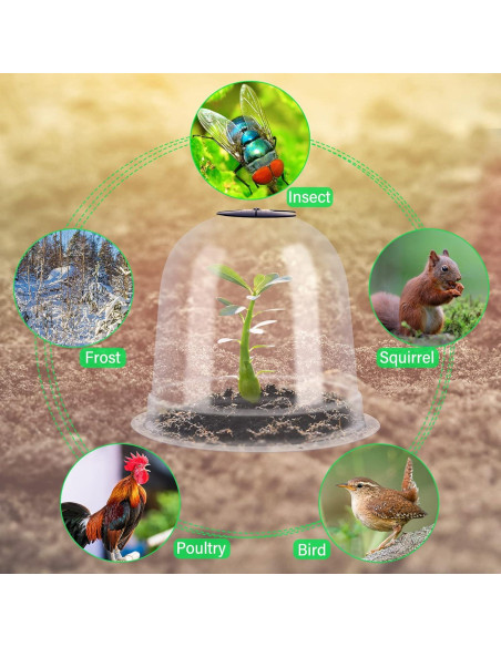Juego de 20 Domos de Protección para Plantas Zopeal 19.5cm