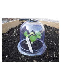 Invernadero Mini Reutilizable GrowAway 20 cm Diámetro