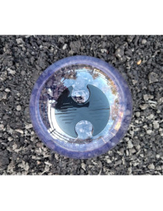 Invernadero Mini Reutilizable GrowAway 20 cm Diámetro 2