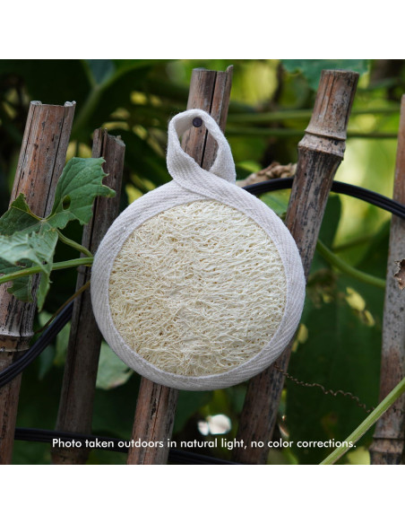 Paquete de 12 Esponjas Exfoliantes de Lufa Natural 8cm Paquete de 12 Esponjas Exfoliantes de Lufa Natural 8cm