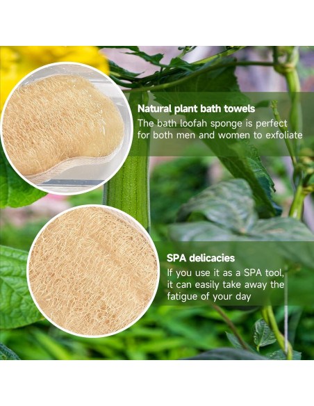 Esponjas de Baño Lufa Natural YEMTAL 3 Piezas Exfoliantes