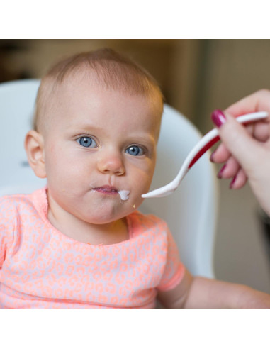 Cucharas TempCheck Dr. Brown para Bebés, Paquete de 4, Libre de BPA