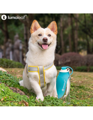 Botella de Agua LumoLeaf 591 ml para Perros con Tazón Plegable