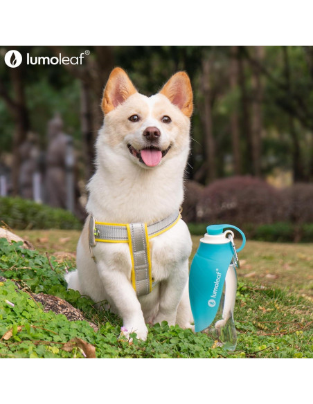 Botella de Agua LumoLeaf 591 ml para Perros con Tazón Plegable
