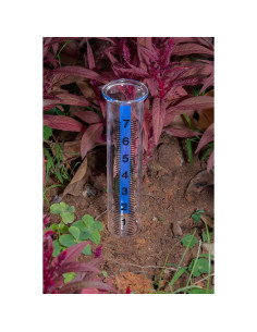 Pluviómetro 21 cm Mateda con Franja Azul - 2 Pcs 2