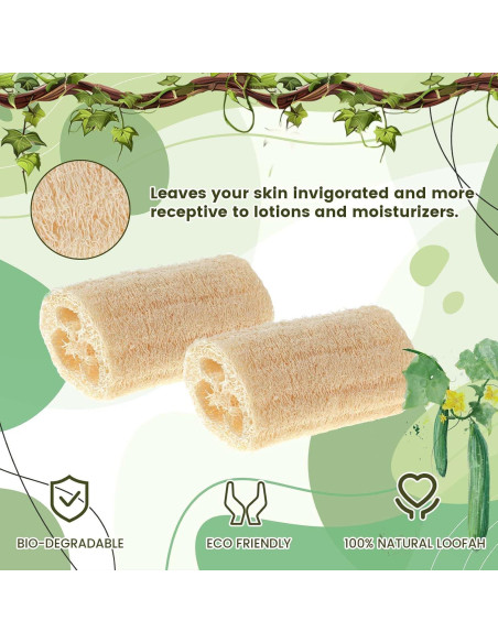 Esponja de Lufa Natural Nogeqi 15 cm Exfoliante Suave