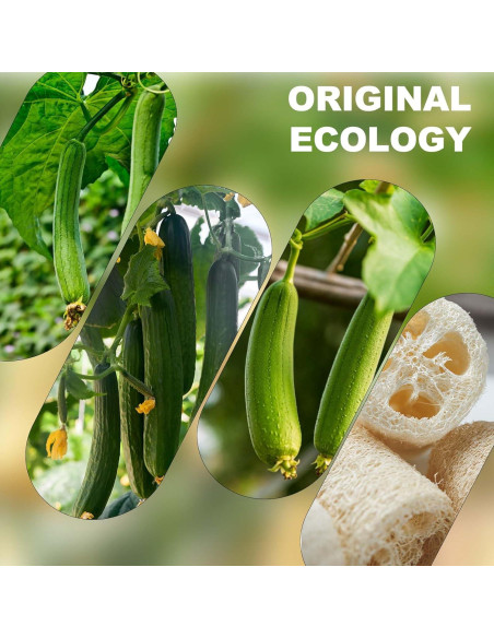 Esponja de Lufa Natural Nogeqi 15 cm Exfoliante Suave