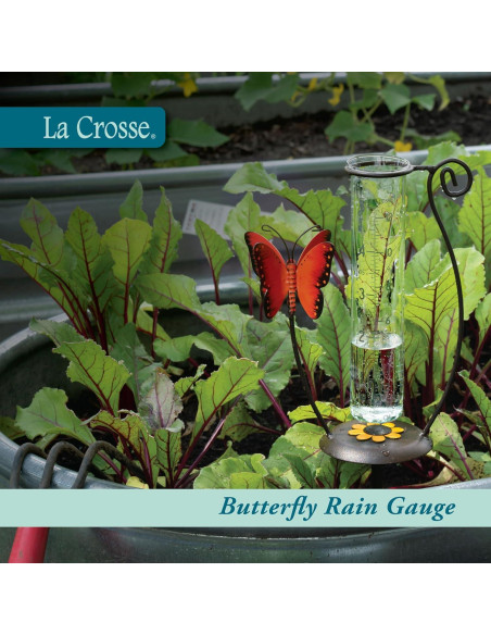 Medidor de Lluvia de Vidrio La Crosse 704-13077-INT 22.2 cm