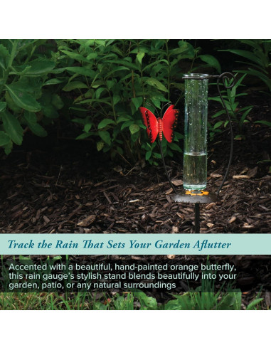 Medidor de Lluvia de Vidrio La Crosse 704-13077-INT 22.2 cm