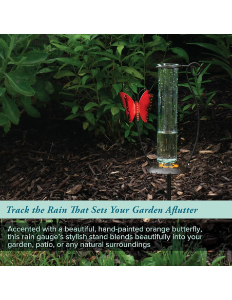 Medidor de Lluvia de Vidrio La Crosse 704-13077-INT 22.2 cm