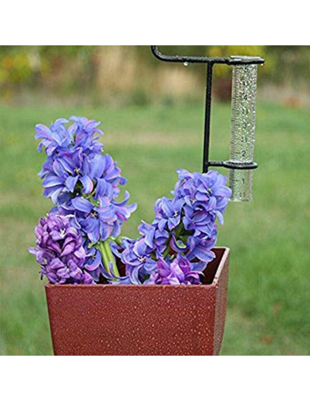 2 Tubos de Reemplazo para Medidor de Lluvia de Vidrio 14 cm