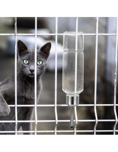 Botella Dispensadora de Agua para Perros Balacoo 350ml