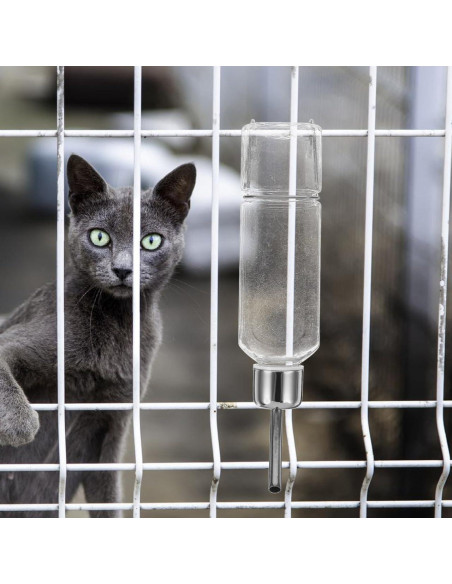 Botella Dispensadora de Agua para Perros Balacoo 350ml