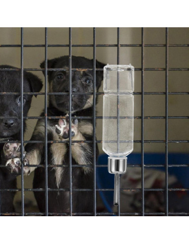 Botella Dispensadora de Agua para Perros Balacoo 350ml