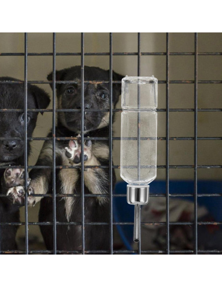 Botella Dispensadora de Agua para Perros Balacoo 350ml