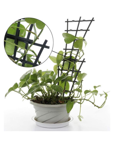 Soportes de Enrejado GWOKWAI 6 Piezas para Plantas Trepadoras