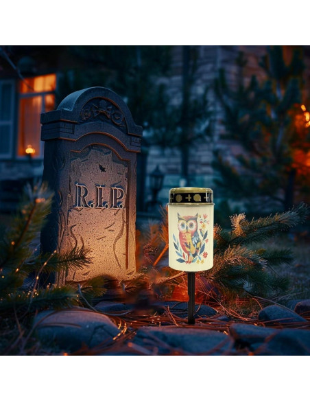 Luces Solares para Cementerio Vanideaoty LED 24.1cm Azul