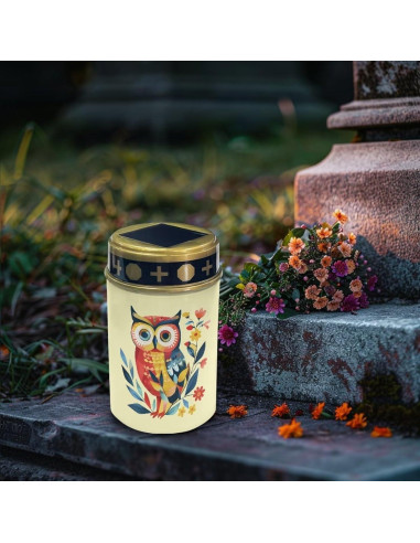 Luces Solares para Cementerio Vanideaoty LED 24.1cm Azul