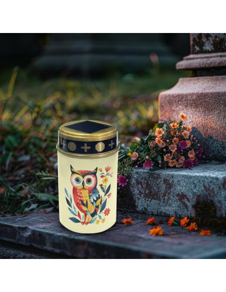 Luces Solares para Cementerio Vanideaoty LED 24.1cm Azul