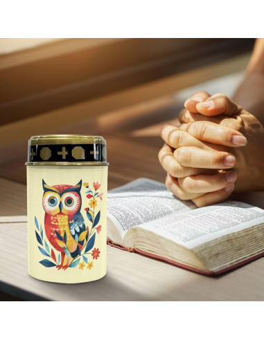 Luces Solares para Cementerio Vanideaoty LED 24.1cm Azul