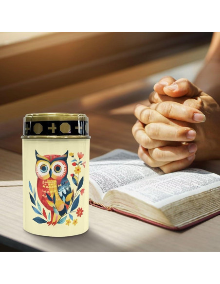 Luces Solares para Cementerio Vanideaoty LED 24.1cm Azul