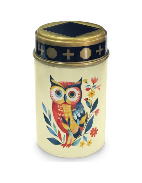 Luces Solares para Cementerio Vanideaoty LED 24.1cm Azul