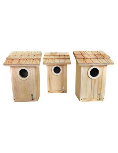 Paquete de 3 casas para pájaros Oojami - Madera sin terminar