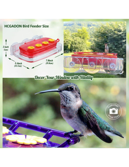 Comedero para Colibríes HCGADON Ventana 295ml Púrpura