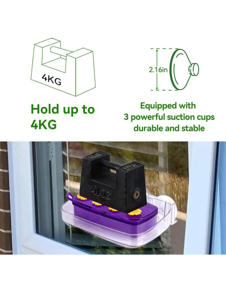 Comedero para Colibríes HCGADON Ventana 295ml Púrpura