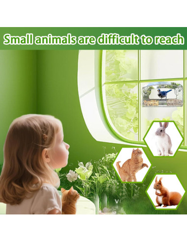 Comedero para Aves de Ventana RRQKMBO Acrílico Transparente 0.47L