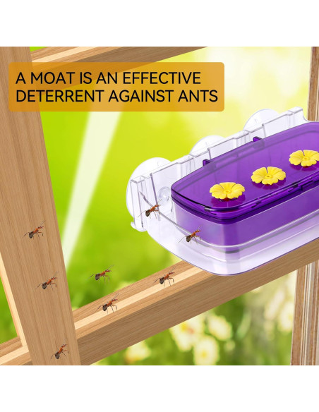 Comedero para Colibríes HCGADON Ventana 295ml Púrpura