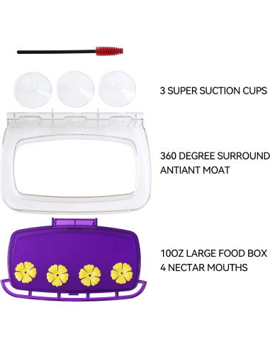 Comedero para Colibríes HCGADON Ventana 295ml Púrpura