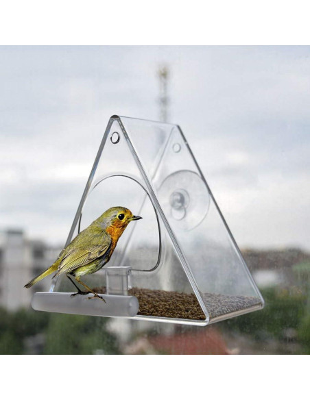 Comedero de Aves Acrílico BHFK para Ventana Triangular 190g