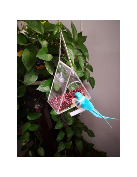 Comedero de Aves Acrílico BHFK para Ventana Triangular 190g