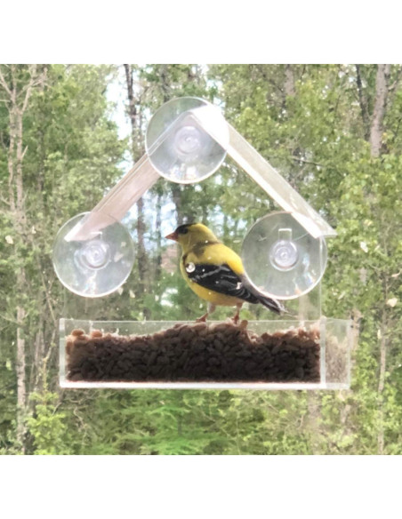 Comedero para Aves de Ventana WOWARE Transparente 16x16.5 cm