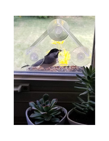 Comedero para Aves de Ventana WOWARE Transparente 16x16.5 cm