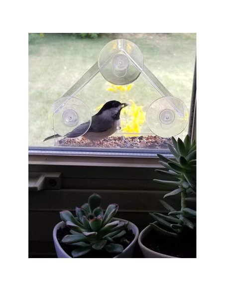 Comedero para Aves de Ventana WOWARE Transparente 16x16.5 cm