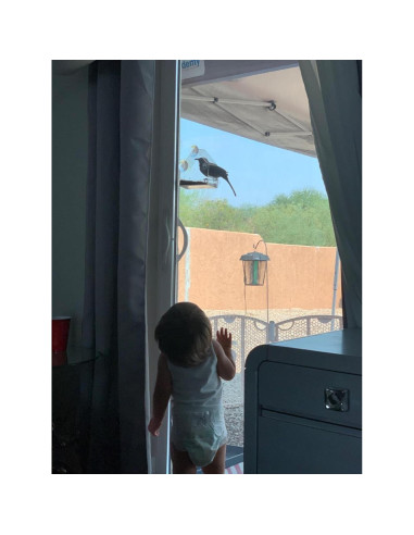 Comedero para Aves de Ventana WOWARE Transparente 16x16.5 cm